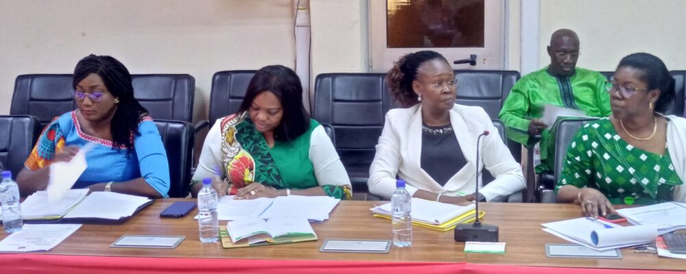 ATELIER DE VALIDATION DU RAPPORT PROVISOIRE D’ÉVALUATION À MI-PARCOURS DU PLAN STRATÉGIQUE 2016-2025 DE LA LOTERIE NATIONALE BURKINABÈ (LONAB)