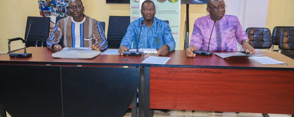 ETUDE DE MARCHE DES PRODUITS D’ELEVAGE AU BURKINA FASO